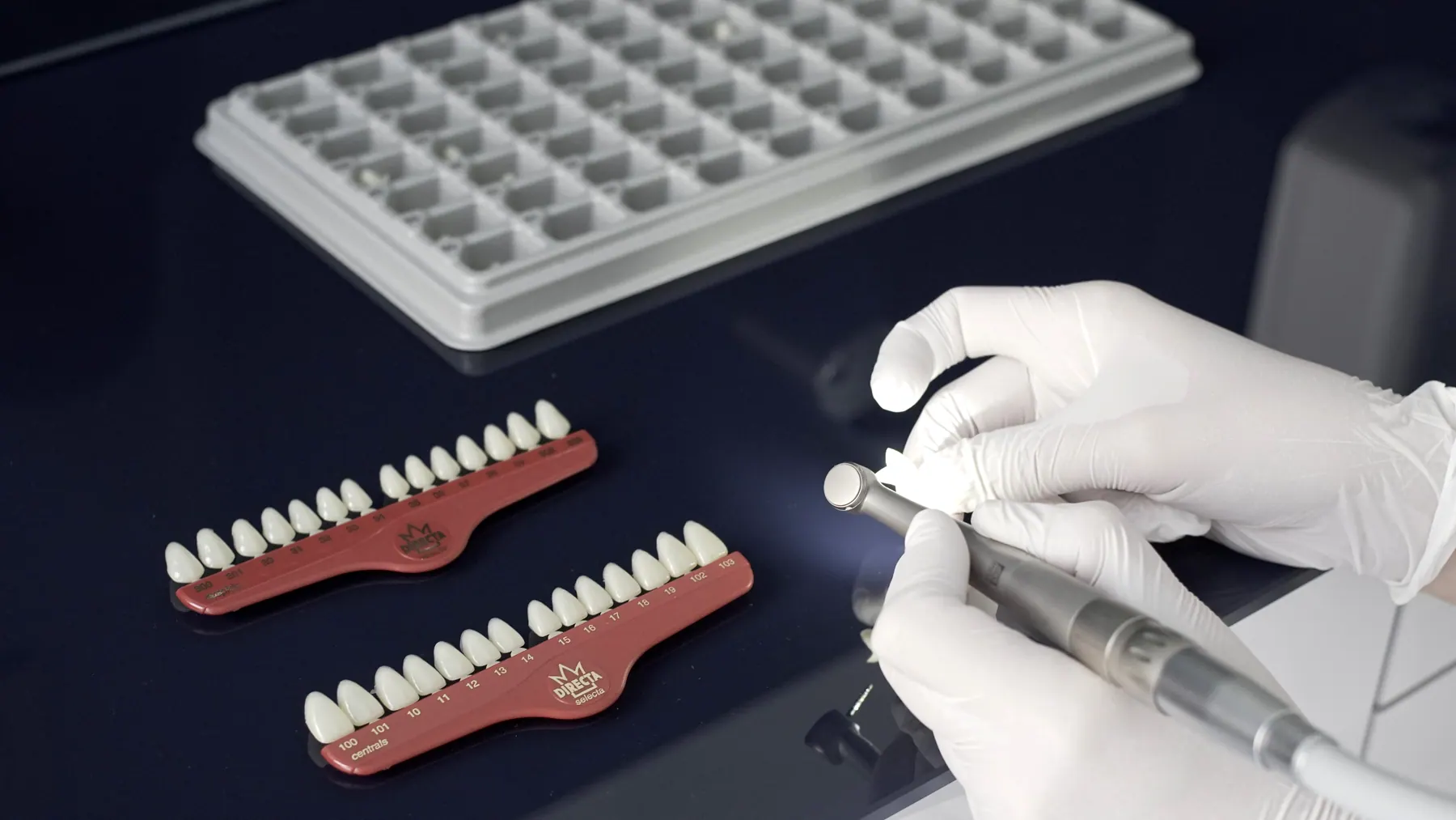 Muestrario de dientes y trabajo con prótesis dental
