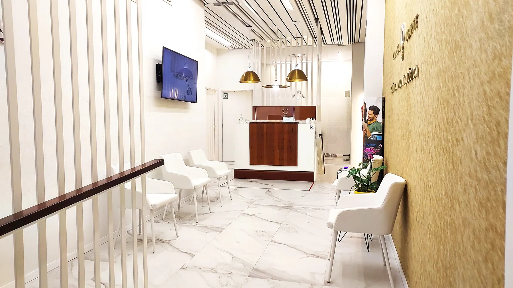 Recepción y sala de espera luminosa de la clínica dental Ziortza Ugarte